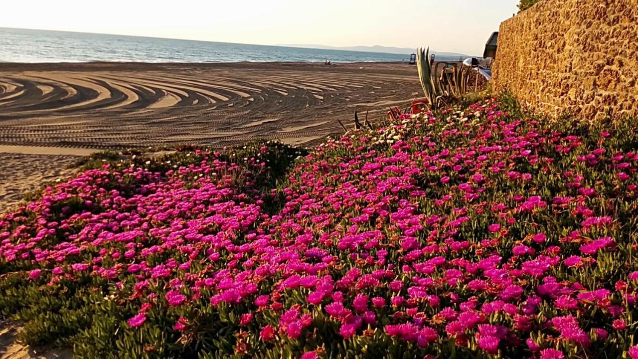 Hotel Lupo Di Mare Марина ди Кастането Кардучи Екстериор снимка